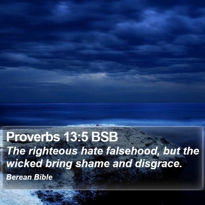 Proverbs 13:5 BSB Bible Verse Image