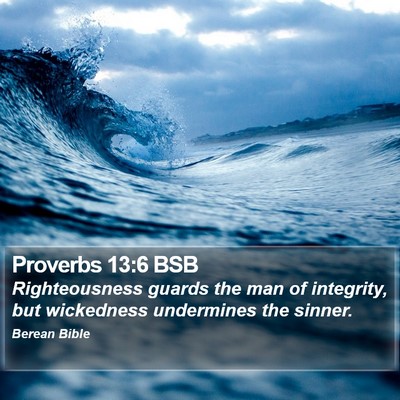 Proverbs 13:6 BSB Bible Verse Image