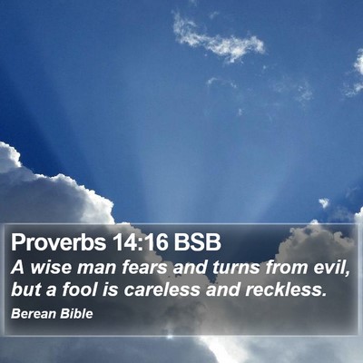 Proverbs 14:16 BSB Bible Verse Image