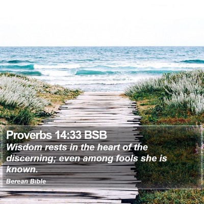 Proverbs 14:33 BSB Bible Verse Image