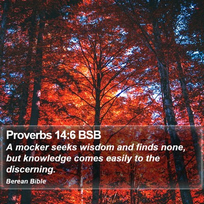 Proverbs 14:6 BSB Bible Verse Image