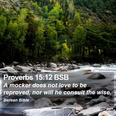 Proverbs 15:12 BSB Bible Verse Image