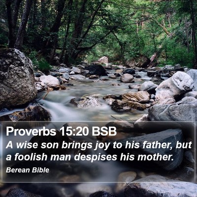 Proverbs 15:20 BSB Bible Verse Image
