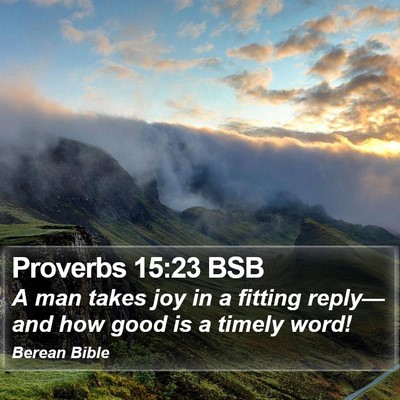Proverbs 15:23 BSB Bible Verse Image