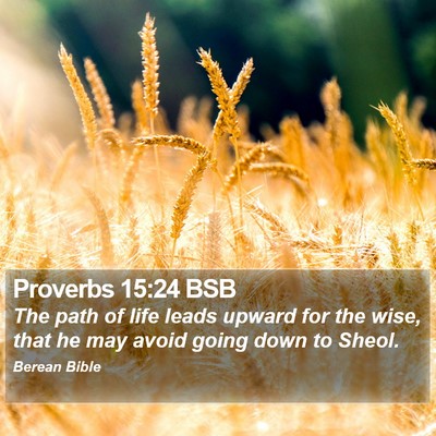 Proverbs 15:24 BSB Bible Verse Image