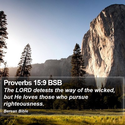 Proverbs 15:9 BSB Bible Verse Image