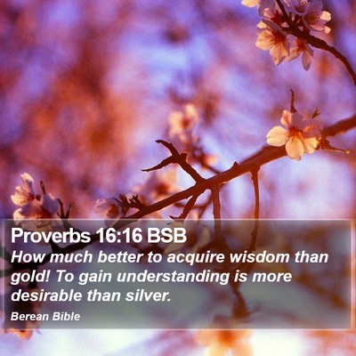 Proverbs 16:16 BSB Bible Verse Image