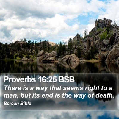 Proverbs 16:25 BSB Bible Verse Image