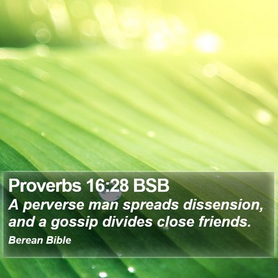 Proverbs 16:28 BSB Bible Verse Image