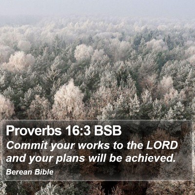 Proverbs 16:3 BSB Bible Verse Image