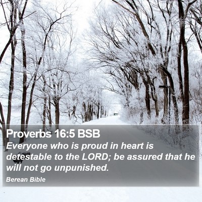 Proverbs 16:5 BSB Bible Verse Image
