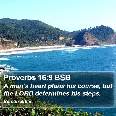 Proverbs 16:9 BSB Bible Verse Image