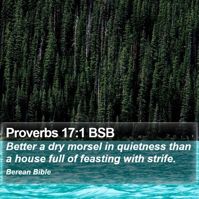 Proverbs 17:1 BSB Bible Verse Image