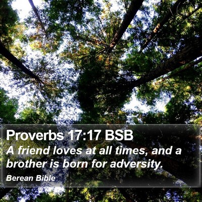 Proverbs 17:17 BSB Bible Verse Image