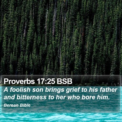 Proverbs 17:25 BSB Bible Verse Image