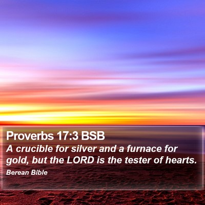 Proverbs 17:3 BSB Bible Verse Image