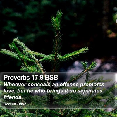 Proverbs 17:9 BSB Bible Verse Image