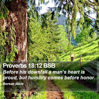 Proverbs 18:12 BSB Bible Verse Image