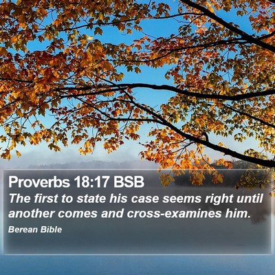 Proverbs 18:17 BSB Bible Verse Image