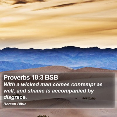 Proverbs 18:3 BSB Bible Verse Image