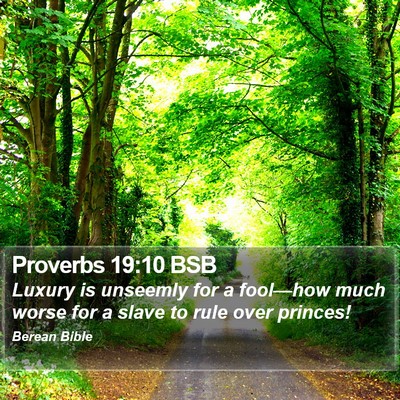 Proverbs 19:10 BSB Bible Verse Image