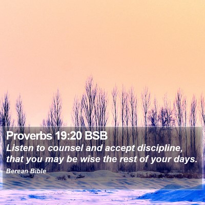 Proverbs 19:20 BSB Bible Verse Image