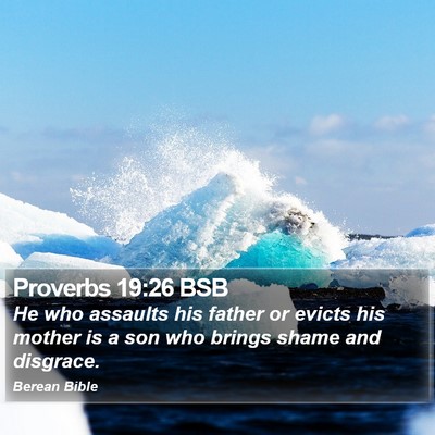 Proverbs 19:26 BSB Bible Verse Image