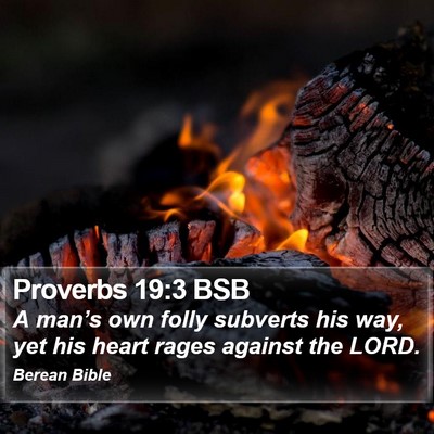 Proverbs 19:3 BSB Bible Verse Image