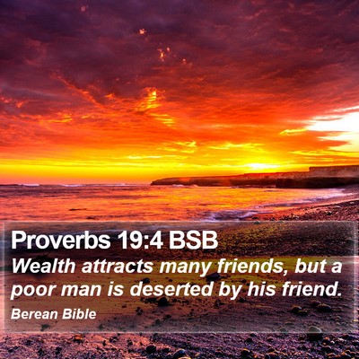 Proverbs 19:4 BSB Bible Verse Image
