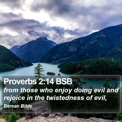 Proverbs 2:14 BSB Bible Verse Image