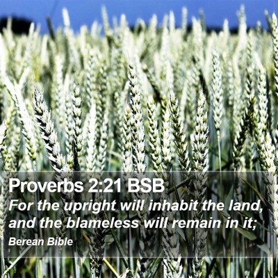 Proverbs 2:21 BSB Bible Verse Image