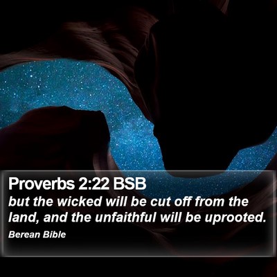 Proverbs 2:22 BSB Bible Verse Image