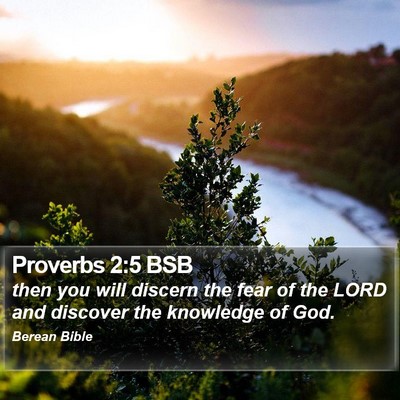 Proverbs 2:5 BSB Bible Verse Image