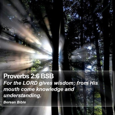 Proverbs 2:6 BSB Bible Verse Image