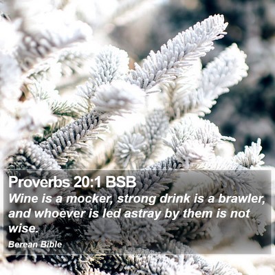 Proverbs 20:1 BSB Bible Verse Image