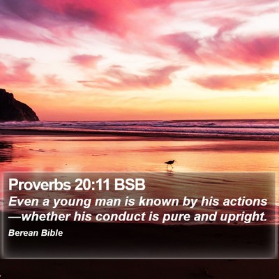 Proverbs 20:11 BSB Bible Verse Image