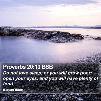 Proverbs 20:13 BSB Bible Verse Image