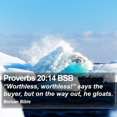 Proverbs 20:14 BSB Bible Verse Image