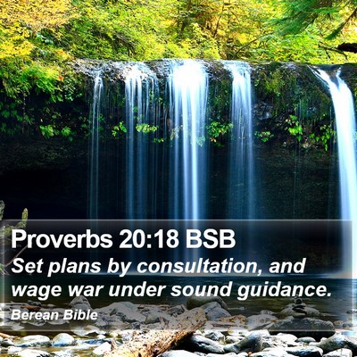 Proverbs 20:18 BSB Bible Verse Image