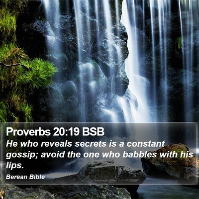 Proverbs 20:19 BSB Bible Verse Image
