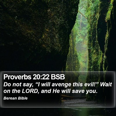 Proverbs 20:22 BSB Bible Verse Image
