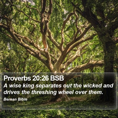 Proverbs 20:26 BSB Bible Verse Image