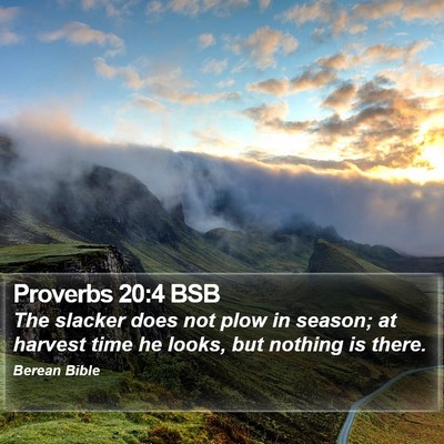Proverbs 20:4 BSB Bible Verse Image