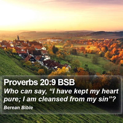 Proverbs 20:9 BSB Bible Verse Image