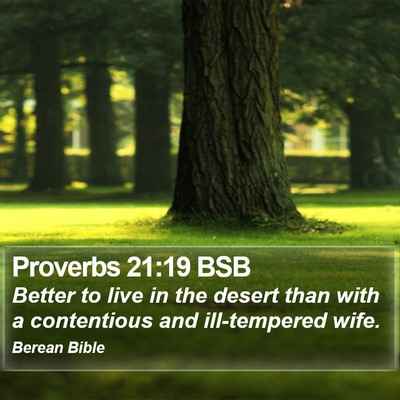 Proverbs 21:19 BSB Bible Verse Image