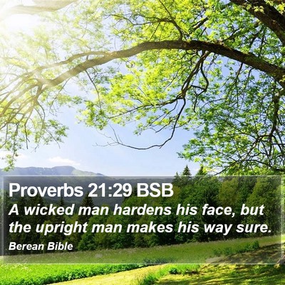 Proverbs 21:29 BSB Bible Verse Image