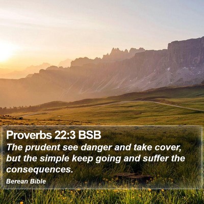 Proverbs 22:3 BSB Bible Verse Image