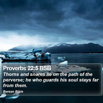 Proverbs 22:5 BSB Bible Verse Image