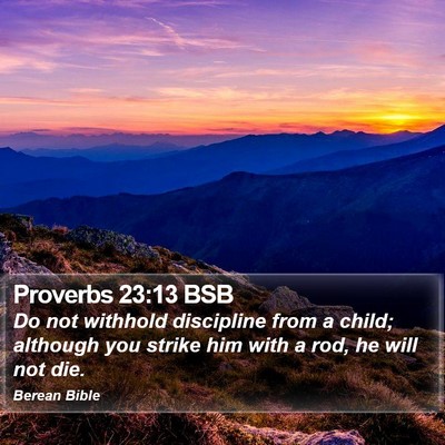 Proverbs 23:13 BSB Bible Verse Image