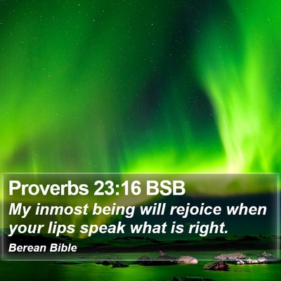Proverbs 23:16 BSB Bible Verse Image